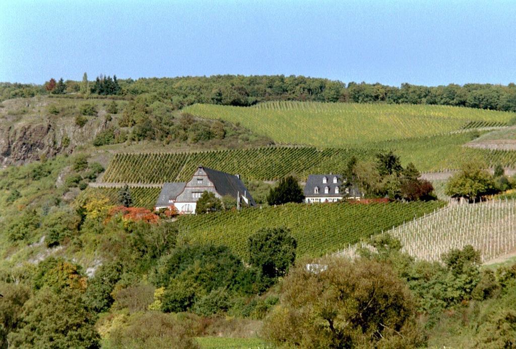Gut Hermannsberg, Gästehaus Niederhausen Exterior foto